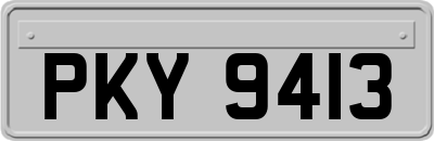 PKY9413