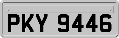 PKY9446
