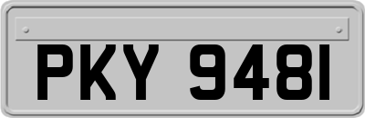 PKY9481