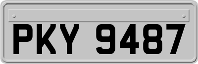 PKY9487