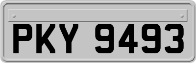 PKY9493