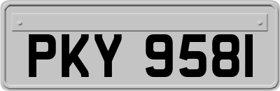 PKY9581