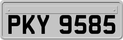 PKY9585