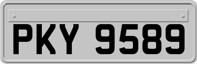 PKY9589