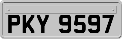 PKY9597