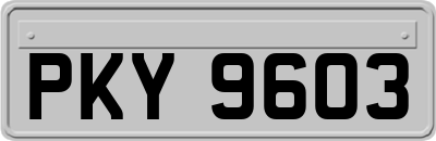 PKY9603