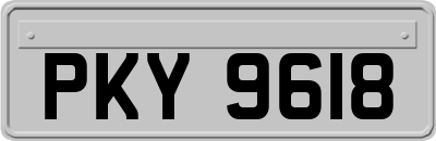 PKY9618