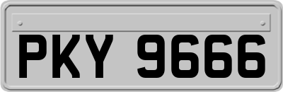 PKY9666