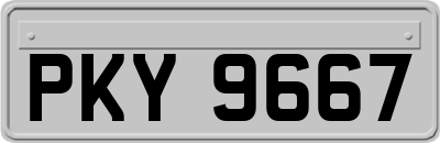PKY9667