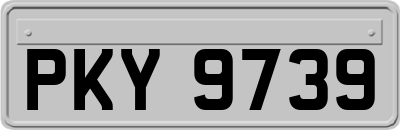 PKY9739