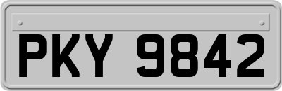 PKY9842