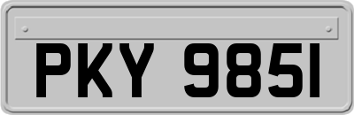 PKY9851