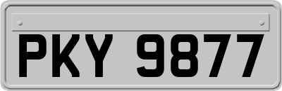 PKY9877