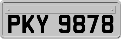 PKY9878