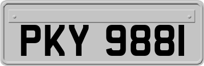 PKY9881