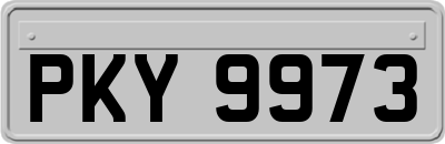 PKY9973
