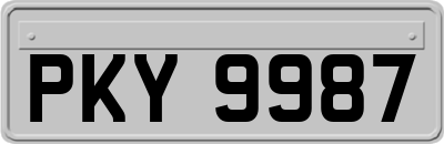 PKY9987