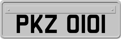 PKZ0101