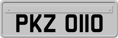 PKZ0110