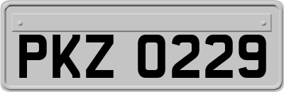 PKZ0229