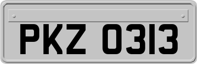 PKZ0313