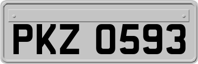 PKZ0593