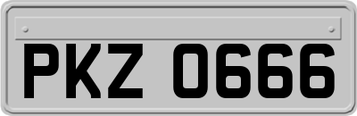 PKZ0666