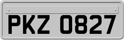 PKZ0827