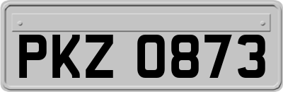 PKZ0873