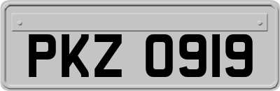 PKZ0919
