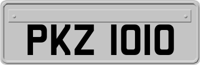 PKZ1010