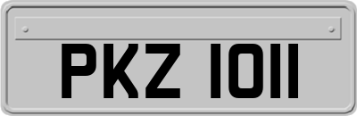 PKZ1011