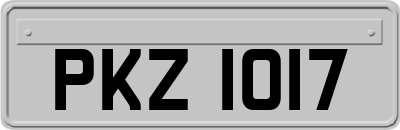 PKZ1017