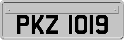 PKZ1019