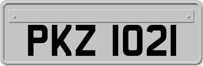 PKZ1021