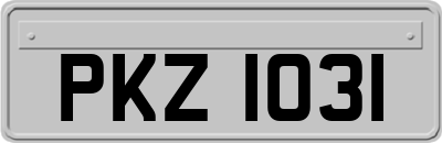 PKZ1031