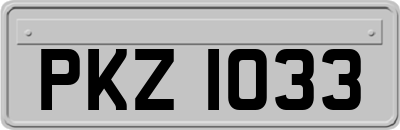 PKZ1033