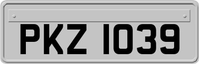 PKZ1039
