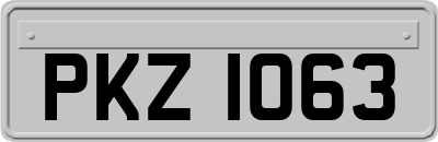 PKZ1063
