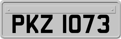 PKZ1073