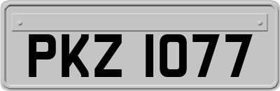 PKZ1077