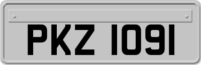 PKZ1091