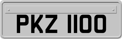 PKZ1100