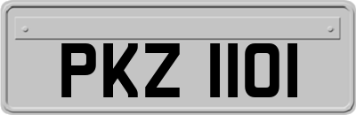 PKZ1101