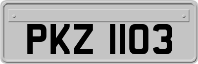 PKZ1103