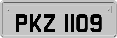 PKZ1109