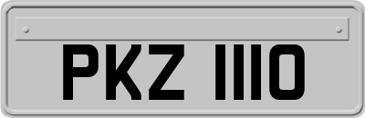 PKZ1110