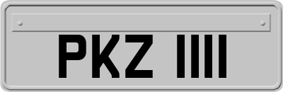 PKZ1111
