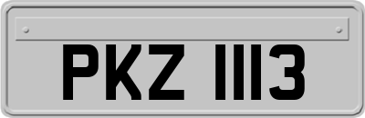 PKZ1113