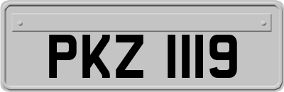 PKZ1119